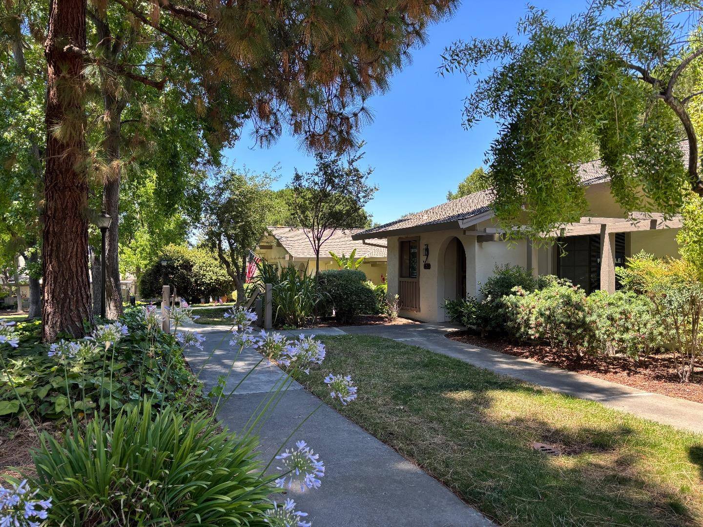 5235 Cribari Hills #5235, San Jose, CA 95135