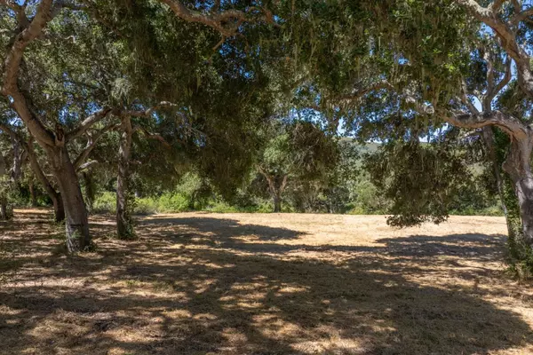 Carmel, CA 93923,4 Goodrich Trail (Lot E13)