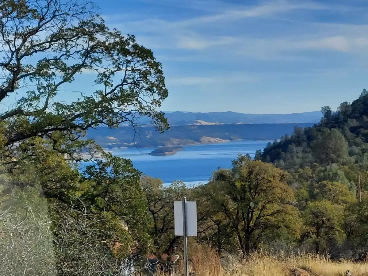 Angels Camp, CA 95222,3346 Appaloosa Way