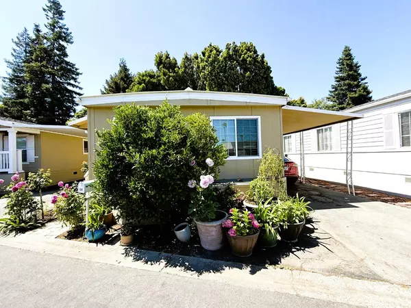 Mountain View, CA 94040,191 E El Camino Real #138