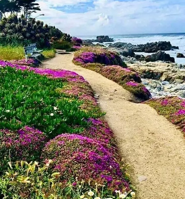 Pacific Grove, CA 93950,705 Union Street
