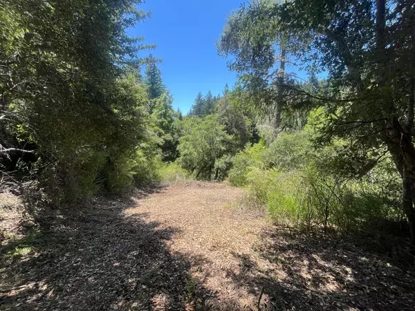 Boulder Creek, CA 95006,0 Deer Creek (Lot 21)