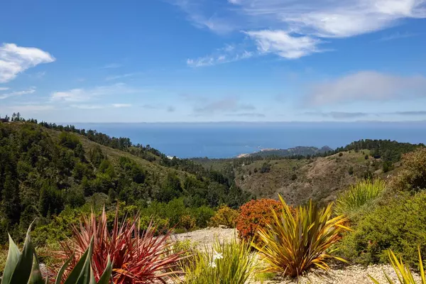 Carmel, CA 93923,3200 Red Wolf Drive
