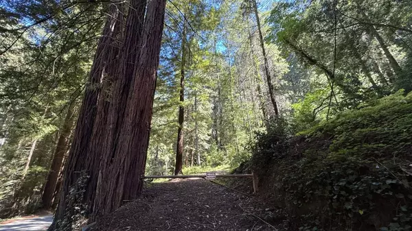 Los Gatos, CA 95033,15645 Stetson Road