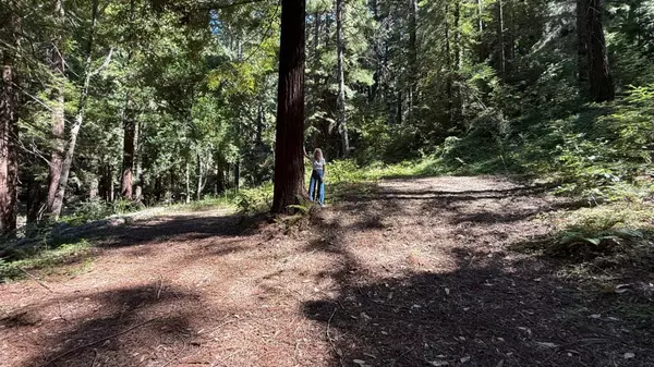 Los Gatos, CA 95033,15645 Stetson Road