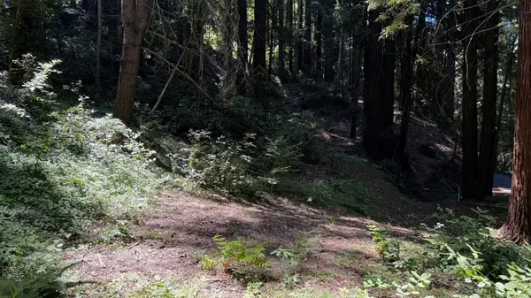 Los Gatos, CA 95033,15645 Stetson Road