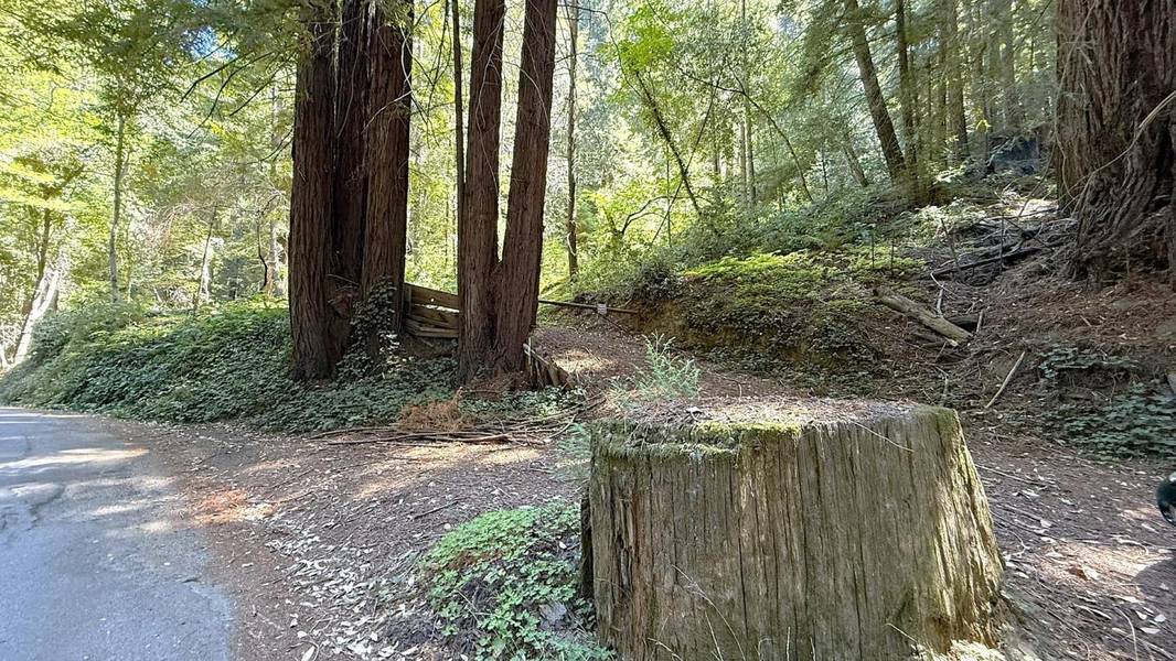 15645 Stetson Road, Los Gatos, CA 95033