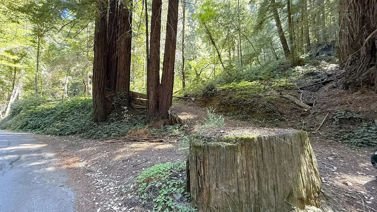 Los Gatos, CA 95033,15645 Stetson Road