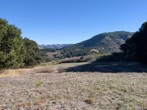 Carmel Valley, CA 93923,7 Holding Field Run