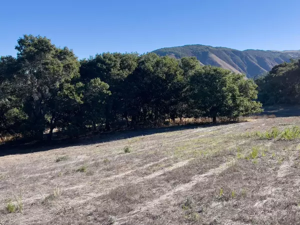 Carmel Valley, CA 93923,7 Holding Field Run
