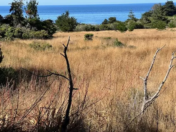 Other - See Remarks, CA 95497,375 Spur Close