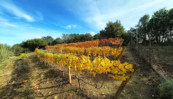 Saratoga, CA 95070,17035 Bohlman Road