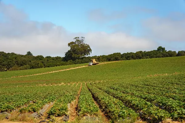 Salinas, CA 93907,0 CA 156