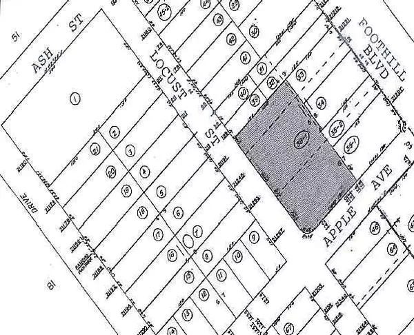 Hayward, CA 94541,1320 Apple Avenue