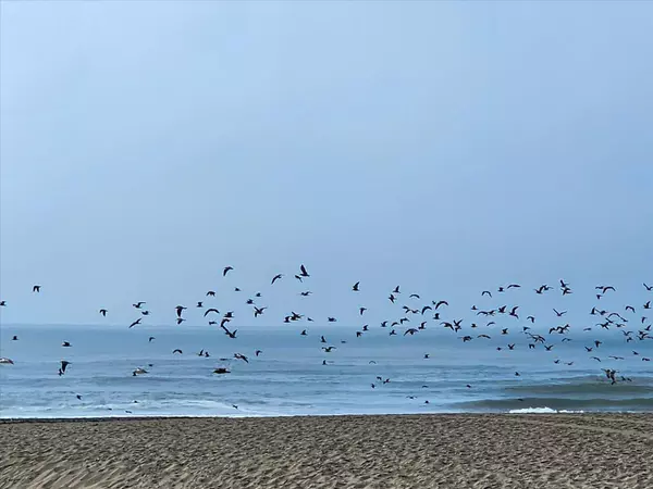 875 La Playa Street #180, San Francisco, CA 94121