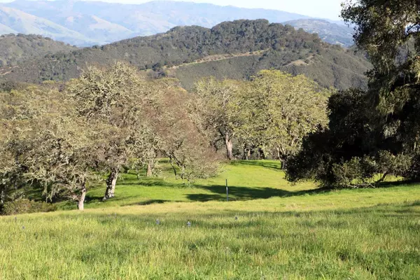 Carmel, CA 93923,5 Black Mountain Trail (Lot 247) Trail