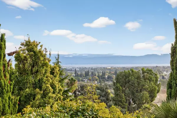 Hayward, CA 94542,24546 Marie Drive