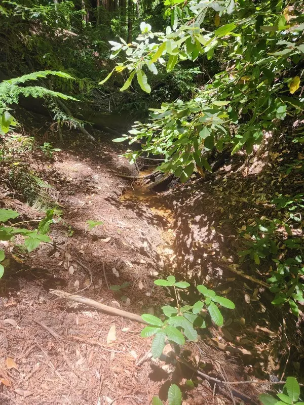 Los Gatos, CA 95033,0 Lost Valley Road