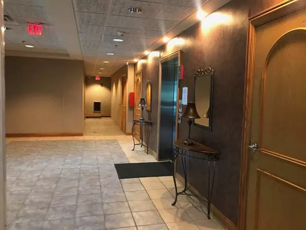 Elmwood Park, IL 60707,1930 N Harlem Avenue #706