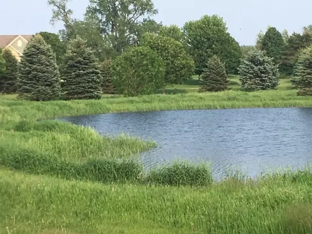 Union, IL 60180,17401 Wildflower Circle