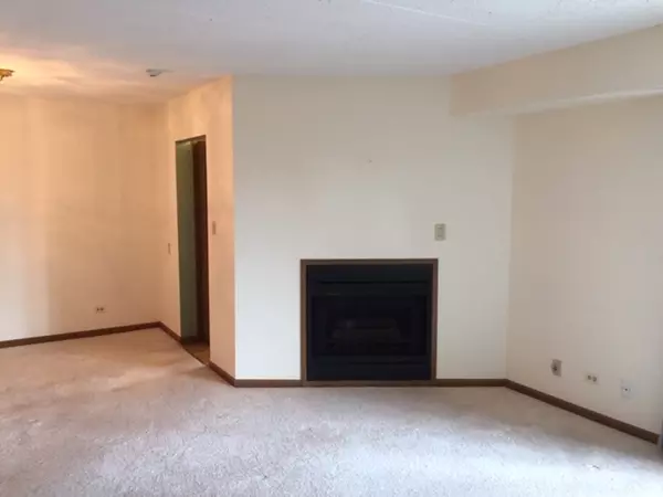 Carol Stream, IL 60188,466 S President Street #201-3