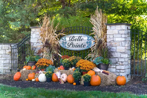 Union, IL 60180,9517 Emily Lane