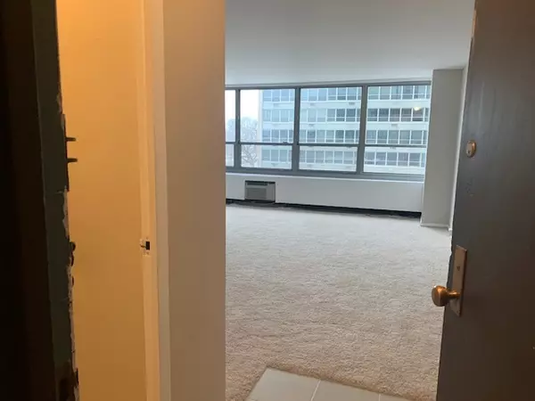 Chicago, IL 60657,3550 N LAKE SHORE Drive #317