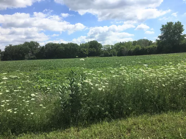 Gilberts, IL 60136,Lot1 and Lot1A Koppie Road