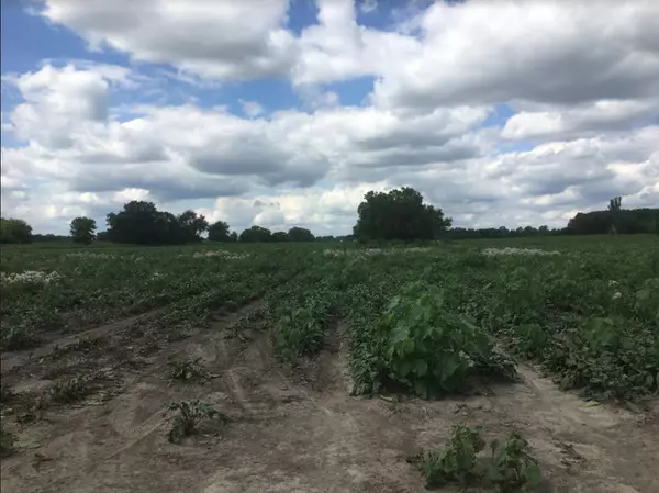 Gilberts, IL 60136,Lot1 and Lot1A Koppie Road