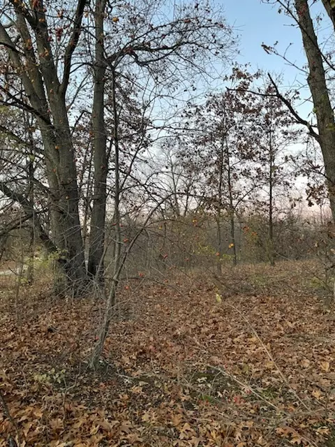 Pembroke Twp, IL 60958,2260 Lot 220 Road