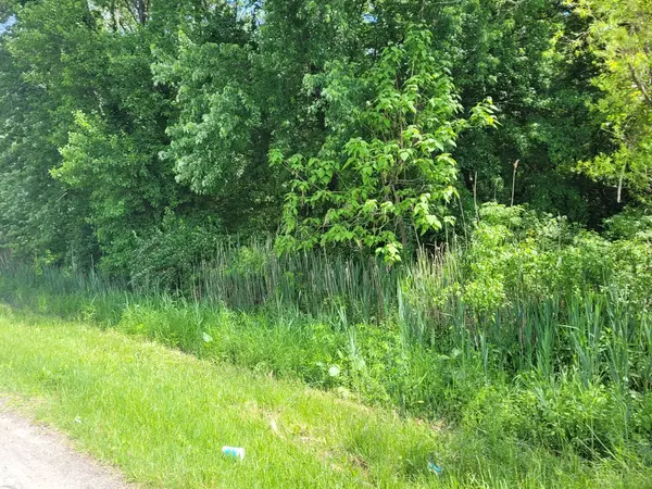 Pembroke Twp, IL 60958,2000 Lot 196 Road