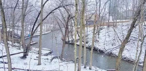 Varna, IL 61375,871 Oak Crest Drive