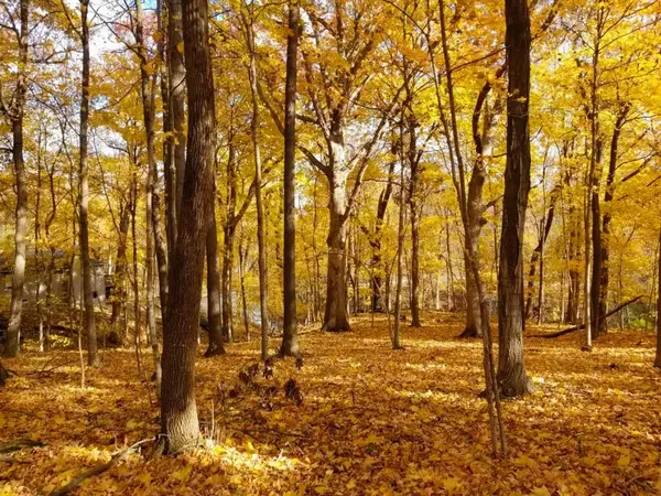 Varna, IL 61375,871 Oak Crest Drive