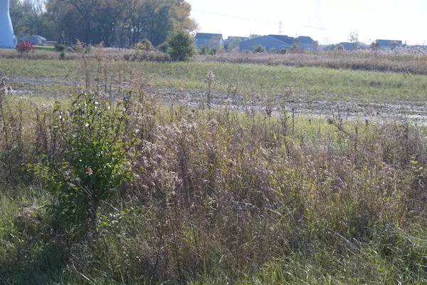 Channahon, IL 60410,Lot8 and Lot9 Us Rte 6 Ridge Road