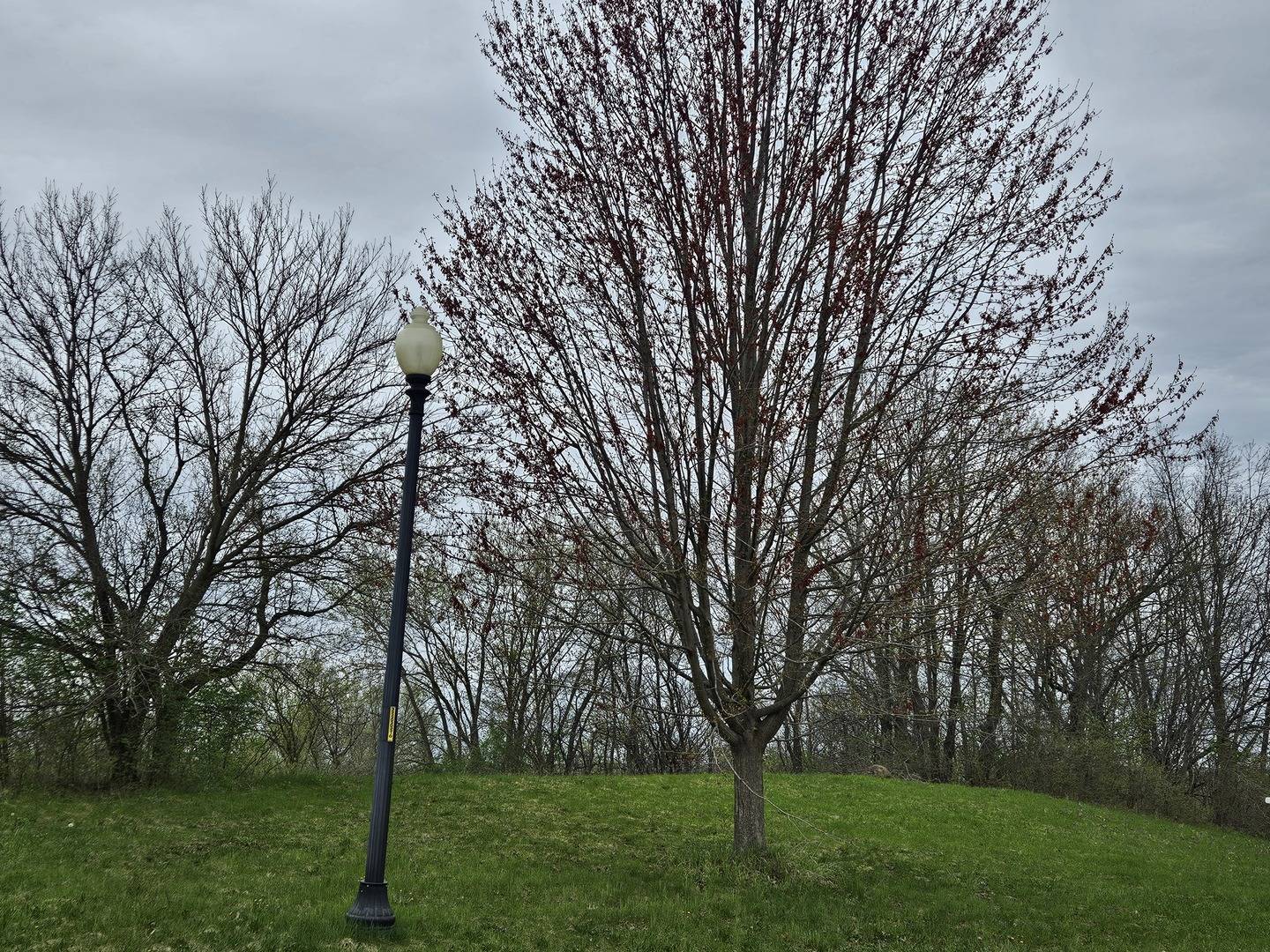 Address Not Disclosed