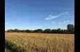 Garden Prairie, IL 61038,Lot 1 Garden Prairie Road