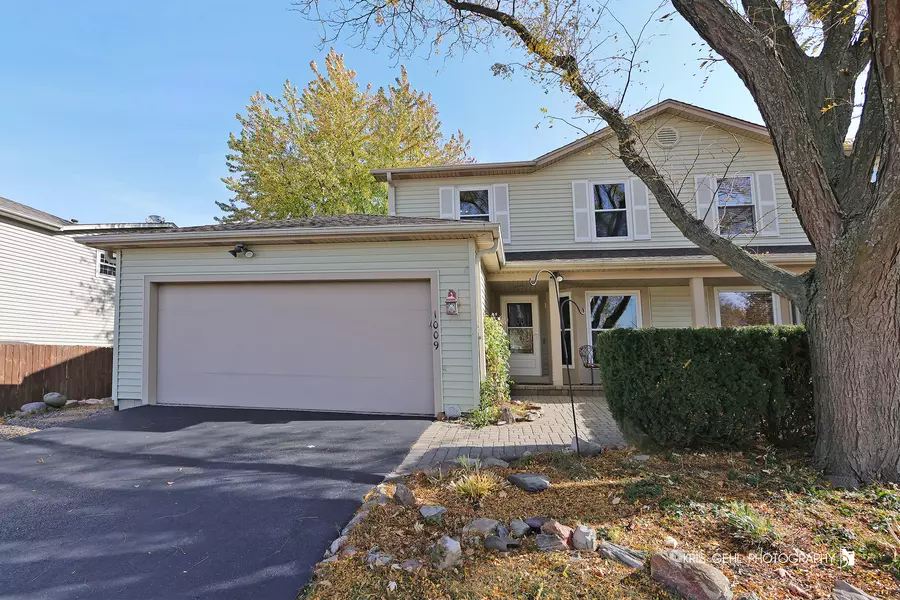 1009 Southbridge Lane #1009, Schaumburg, IL 60194