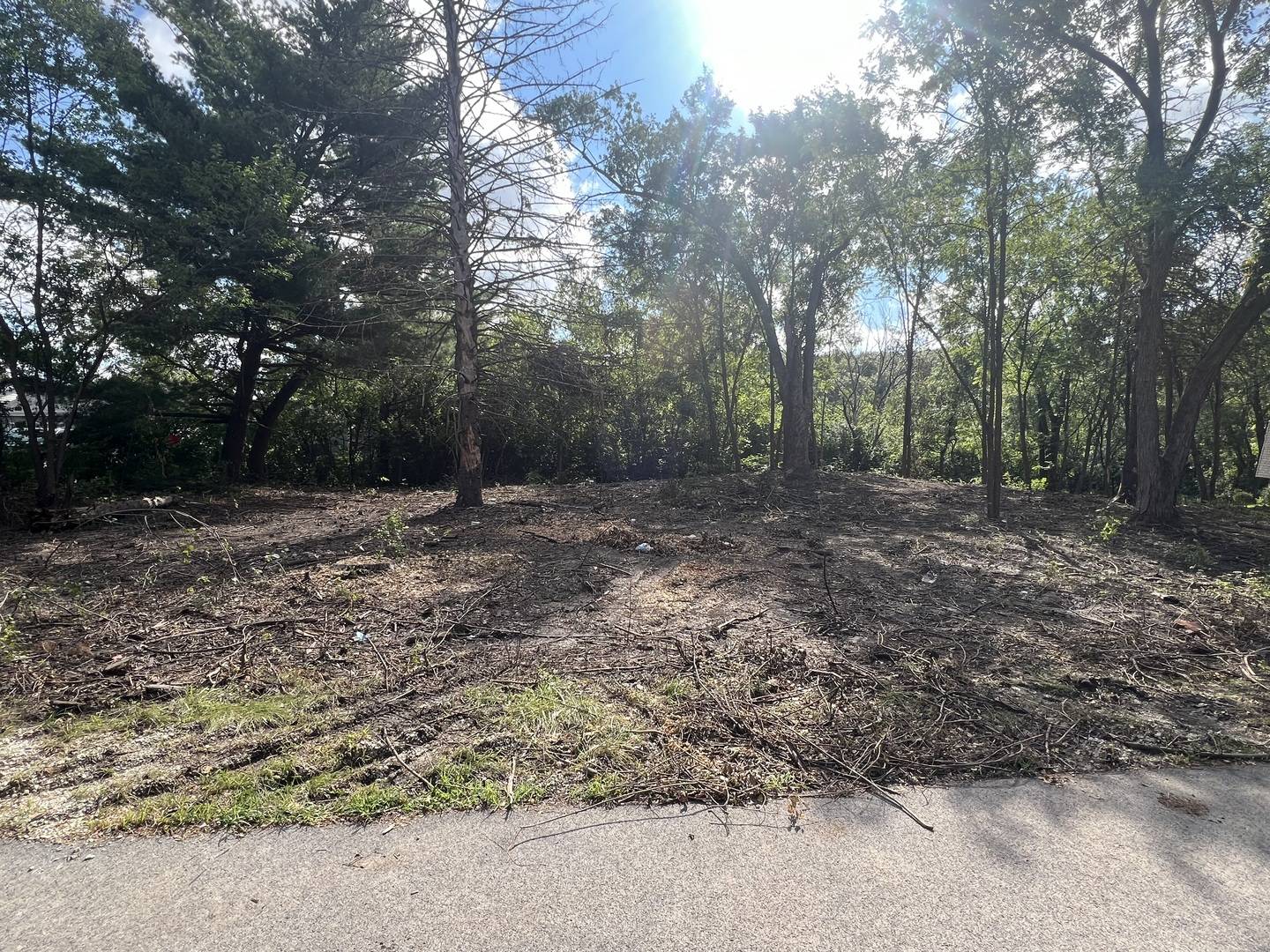 12523 S Iroquois Road, Palos Park, IL 60464