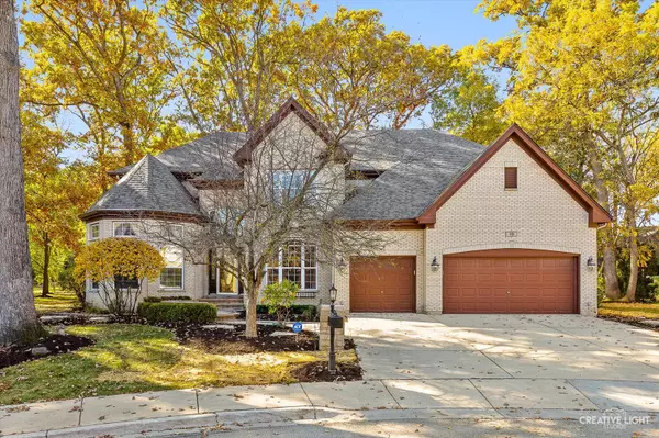 10 Cranberry Court,  Streamwood,  IL 60107