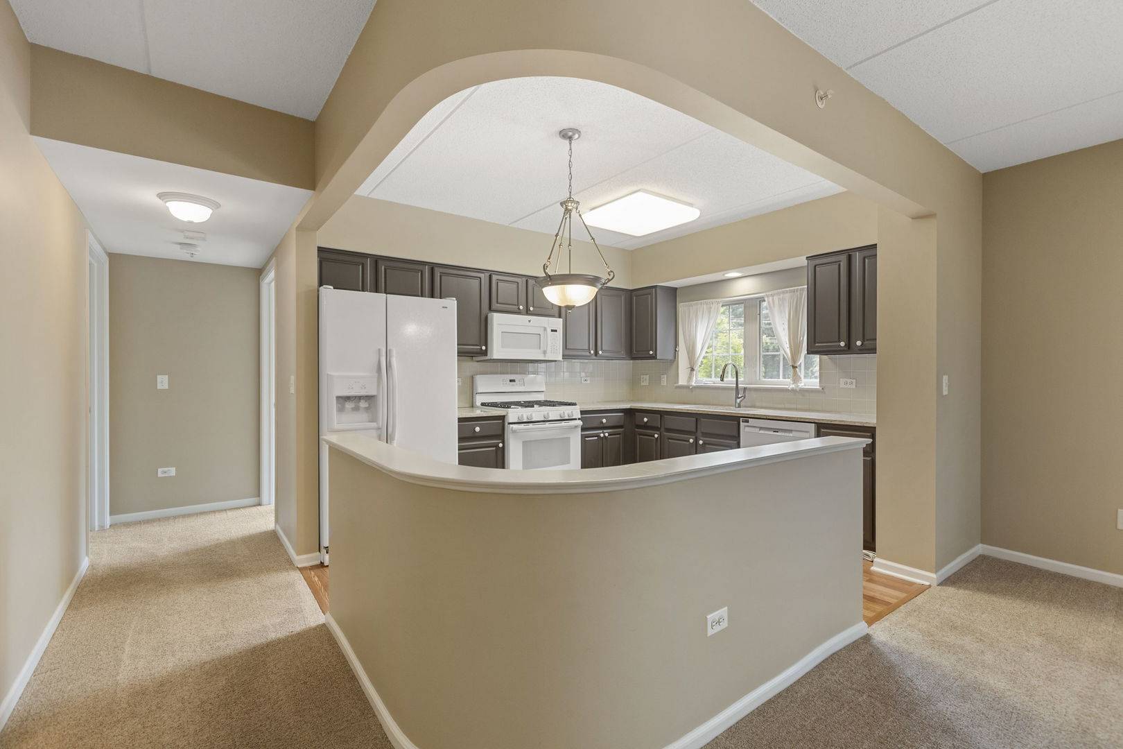 Palatine, IL 60067,124 W Colfax Street #301