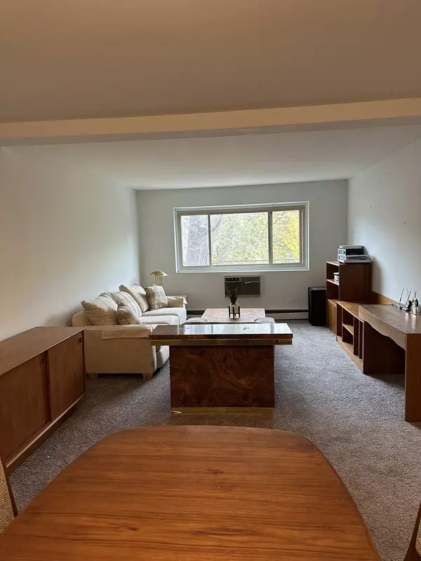 Chicago, IL 60615,4939 S Dorchester Avenue #3H