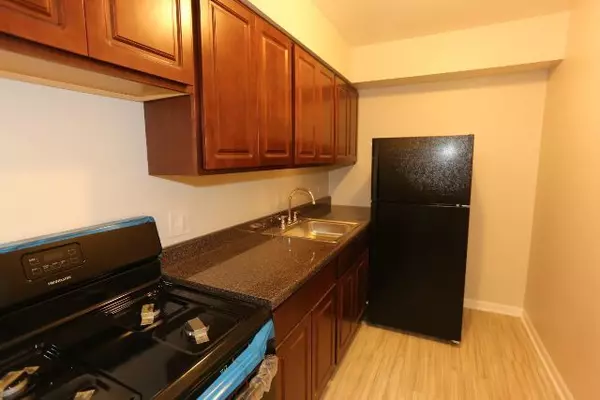 Chicago, IL 60660,1040 W HOLLYWOOD Avenue #207