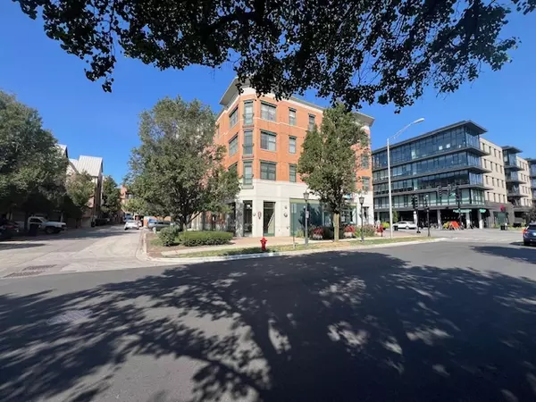 125 N Euclid Avenue #305, Oak Park, IL 60301