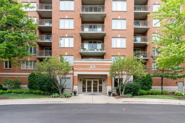 Des Plaines, IL 60016,390 S Western Avenue #312