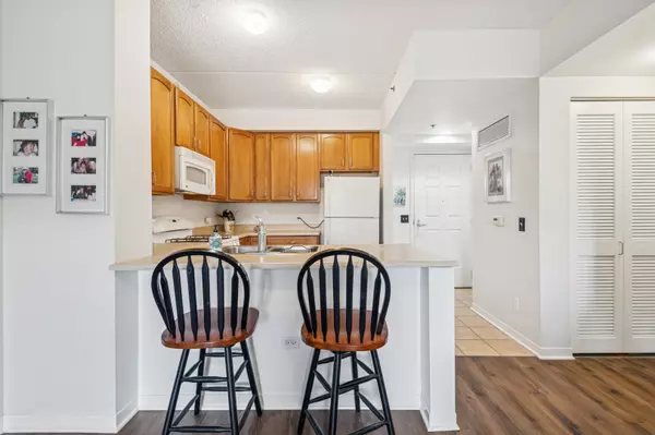 Chicago, IL 60618,2335 W Belle Plaine Avenue #211