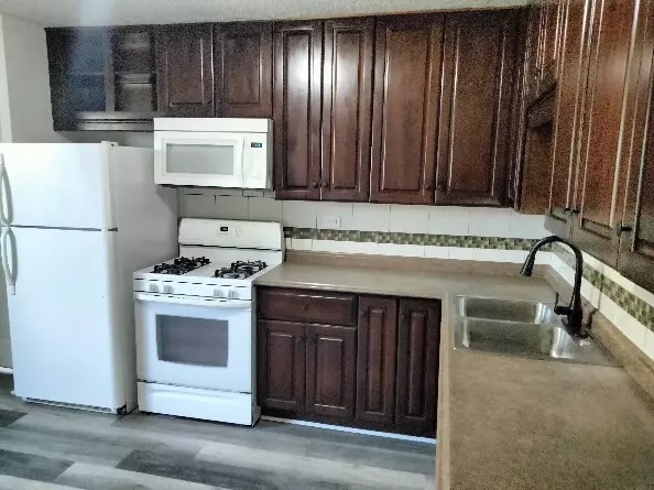 Round Lake Beach, IL 60073,1502 Woodridge Drive