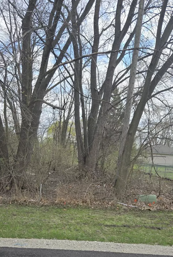 Braceville, IL 60407,0000 N Mitchell Street