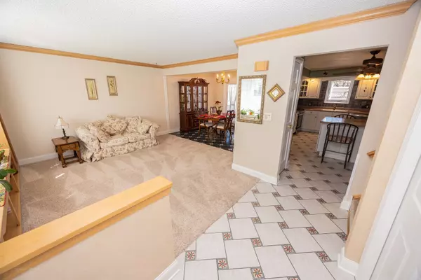 Shorewood, IL 60404,506 Danny Drive