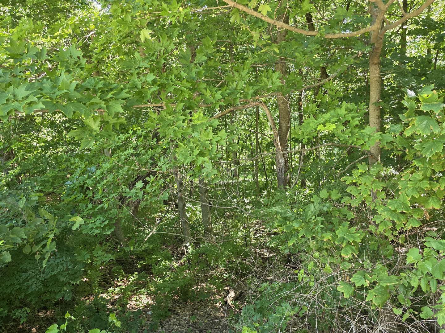 Yorkville, IL 60560,Lot 15 Legion Rd Road