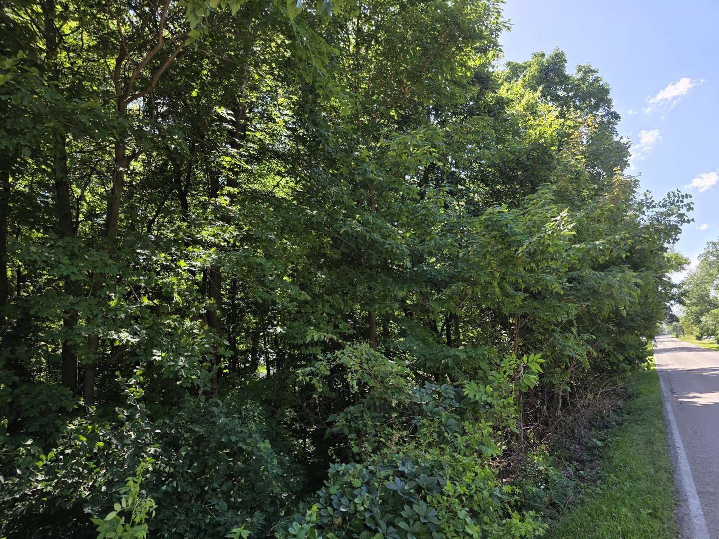 Yorkville, IL 60560,Lot 15 Legion Rd Road
